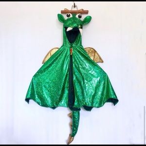Kids Metallic Green Dragon Cloak Costume Yrs 3 - 6